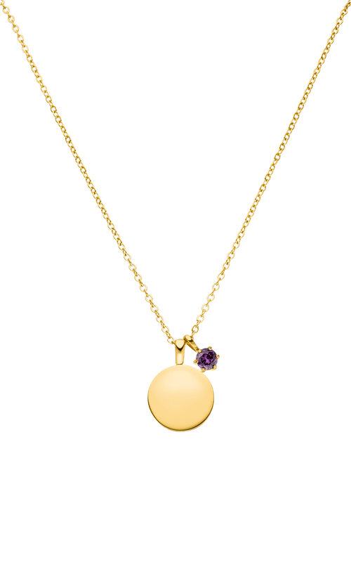 Paul Valentine Birthstone February Necklace